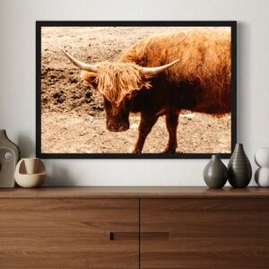 "Highland Hairdo" Wall Art